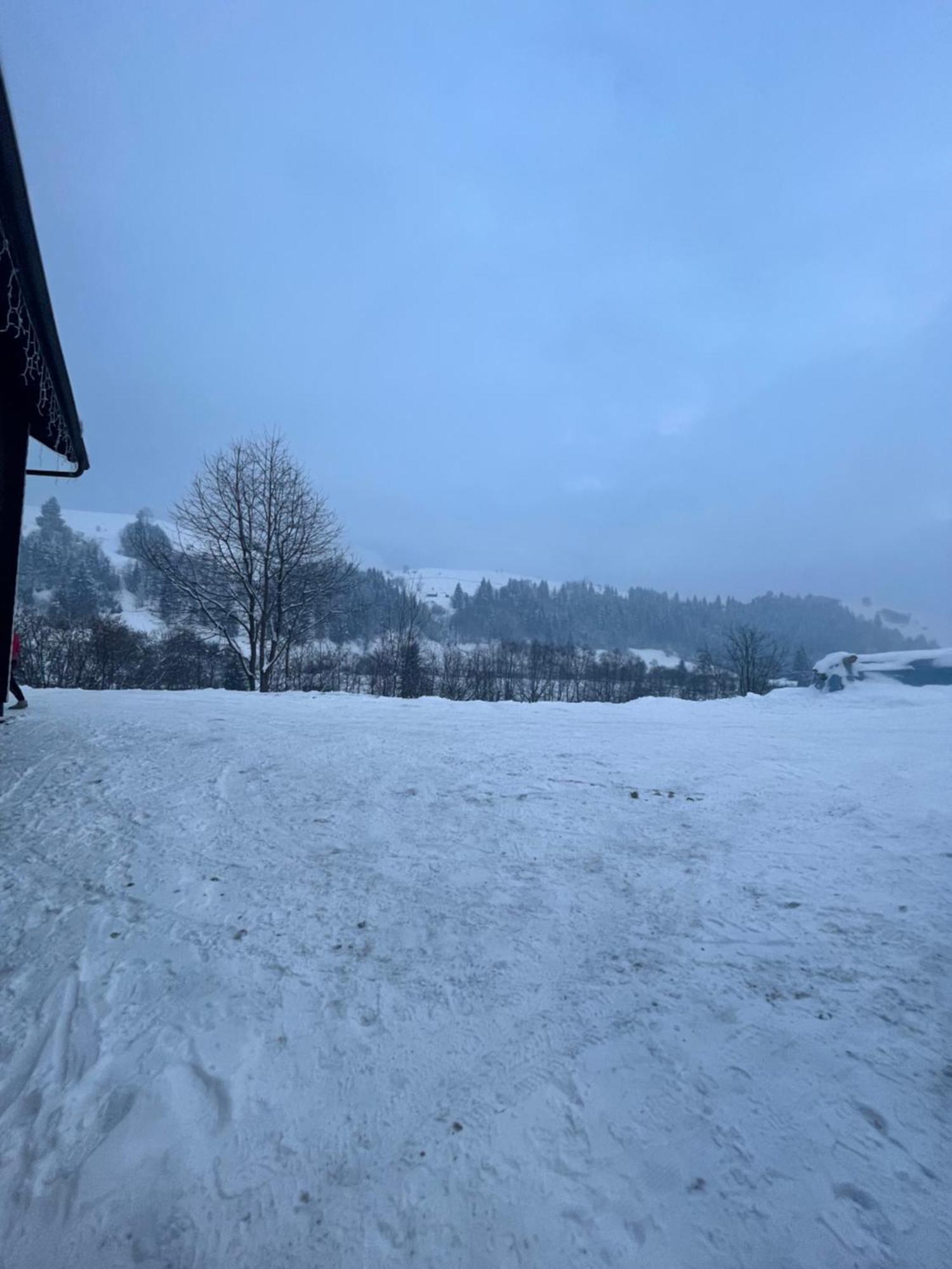 Карпатська Криївка Yasinia Exterior foto